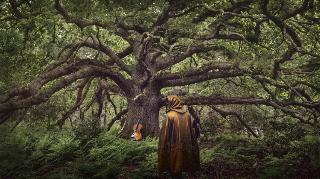 A hooded figure with their back towards us walks towards a violin propped up against an oak tree - a promotional image for The Ancient Oak of Baldor