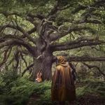 A hooded figure with their back towards us walks towards a violin propped up against an oak tree - a promotional image for The Ancient Oak of Baldor
