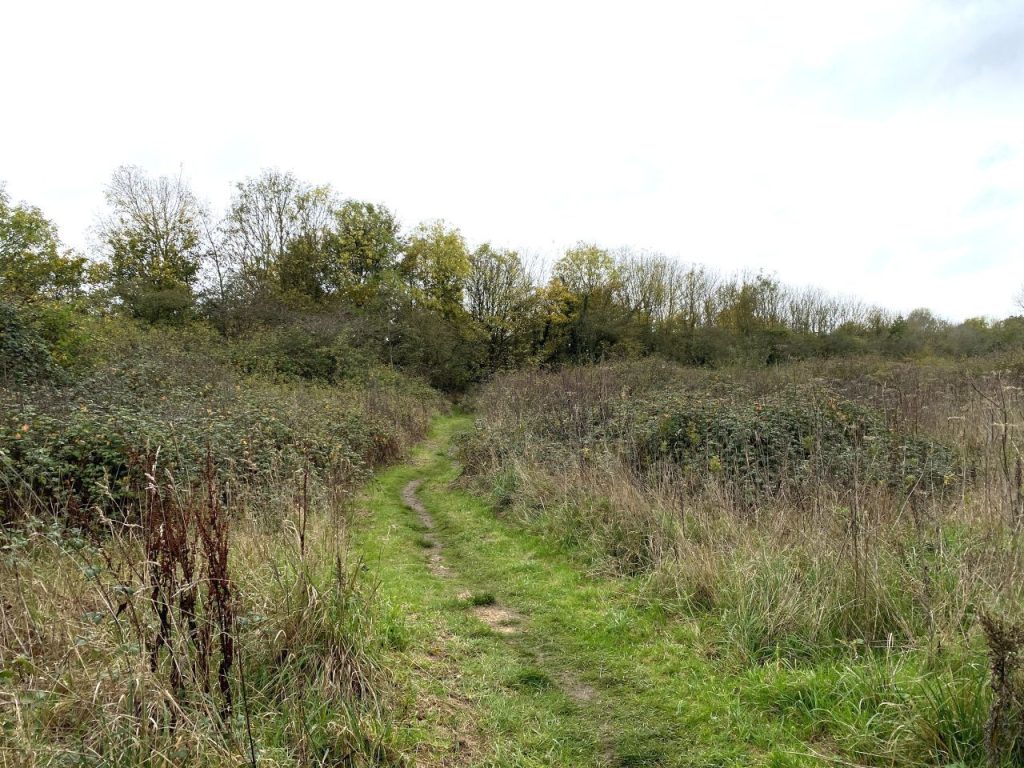 One of the pathways of Swallows Meadow