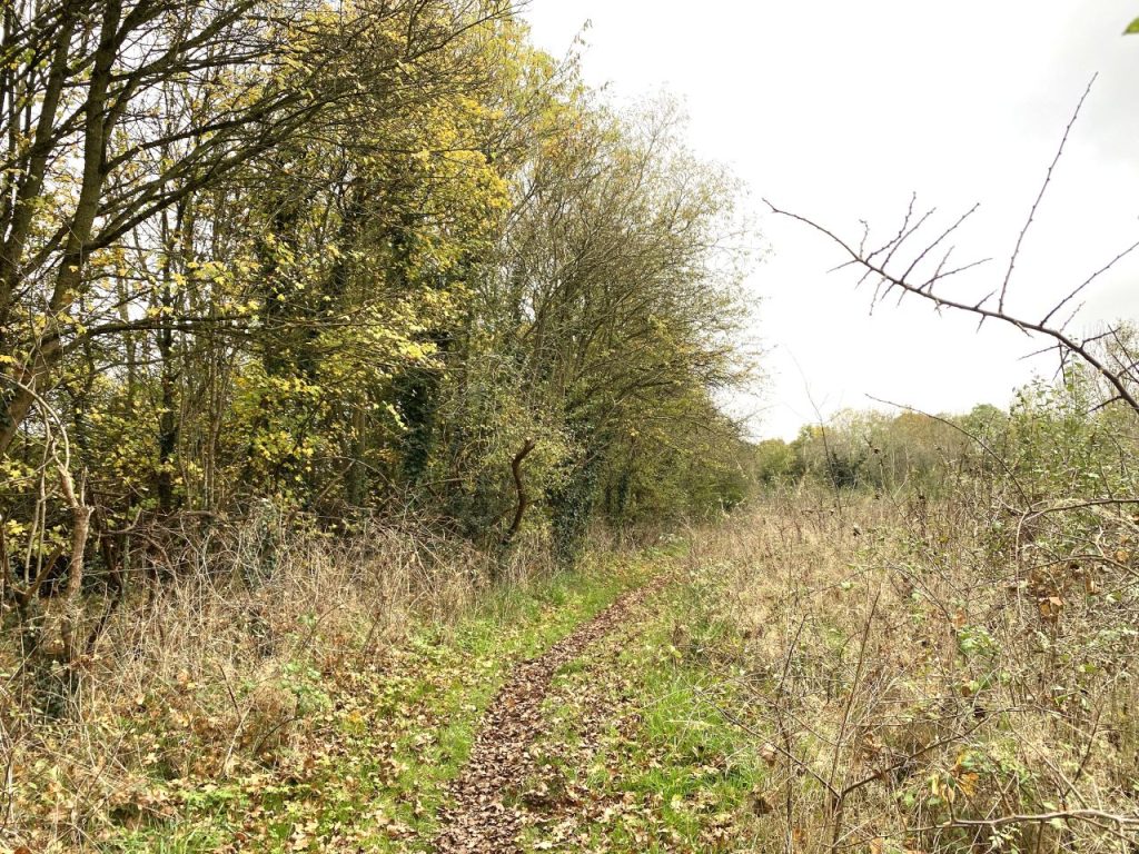 Swallows Meadow officially opened as a park for the first time in November 2024