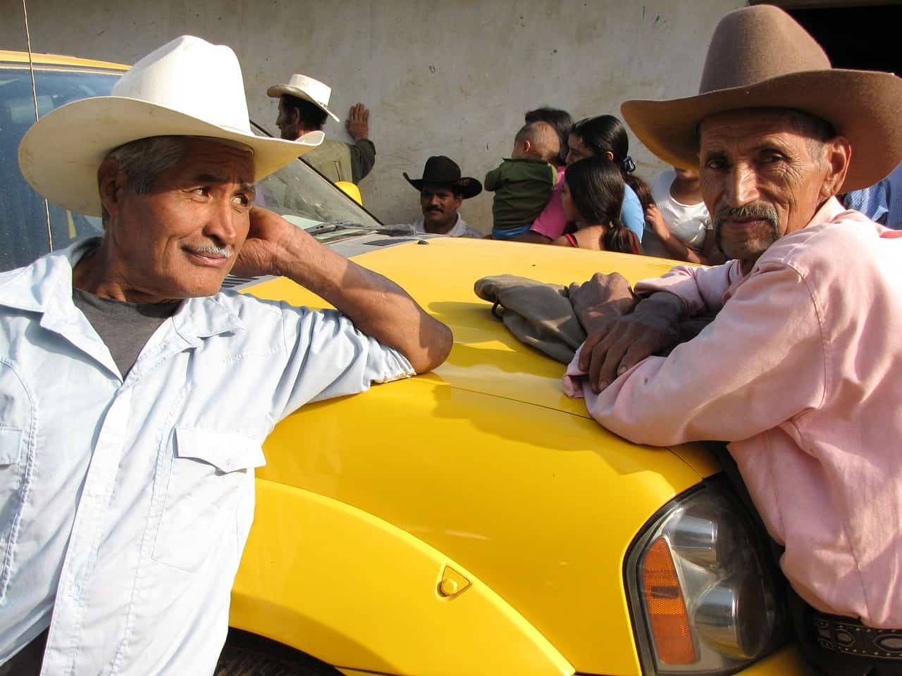 Cowboys 297923
