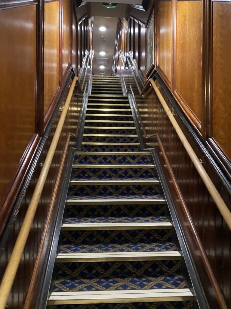 A staircase with blue carpet and wood walls