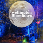 A photo for the Wellington Illuminova showing a large moon with the Wellington Illuminova logo on it