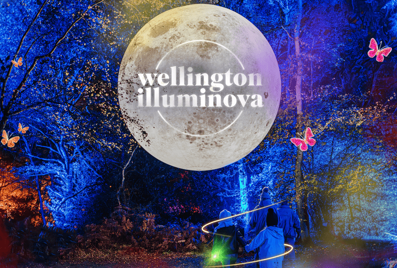 A photo for the Wellington Illuminova showing a large moon with the Wellington Illuminova logo on it