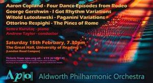 The flyer for the Aldworth Philharmonic Orchestra's February concert