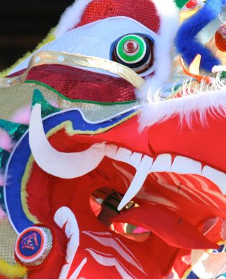 Celebrate the Chinese New Year – the year of the snake – with gala events in Reading town centre