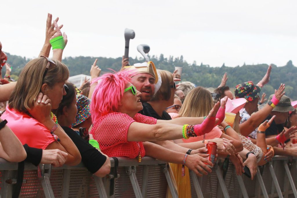 Music fans got into the spirit of things at Rewind South Picture: Dijana Capan/DVision Images