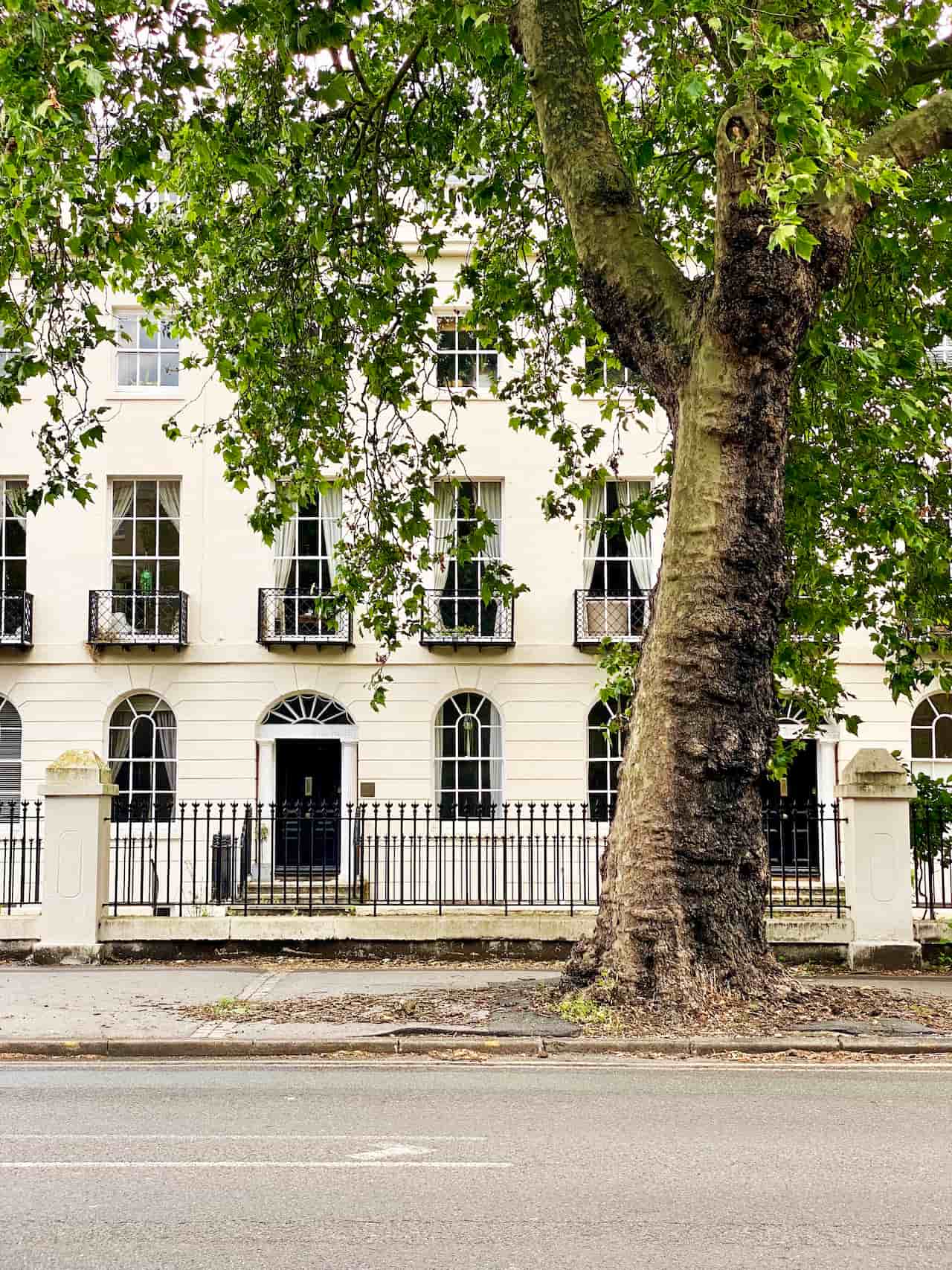 A Georgian street scene with a tree